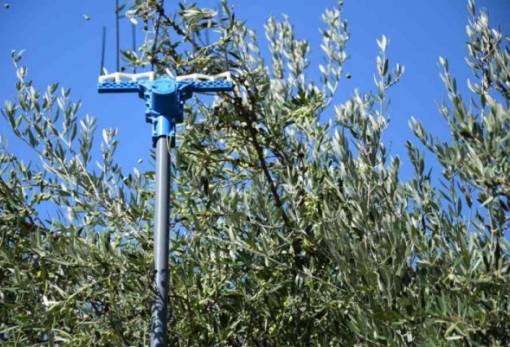 Η τεχνολογία στην υπηρεσία καταπολέμησης του δάκου