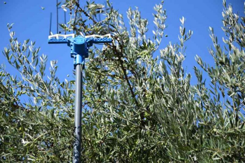 &Eta; &tau;&epsilon;&chi;&nu;&omicron;&lambda;&omicron;&gamma;ί&alpha; &sigma;&tau;&eta;&nu; &upsilon;&pi;&eta;&rho;&epsilon;&sigma;ί&alpha; &kappa;&alpha;&tau;&alpha;&pi;&omicron;&lambda;έ&mu;&eta;&sigma;&eta;&sigmaf; &tau;&omicron;&upsilon; &delta;ά&kappa;&omicron;&upsilon;