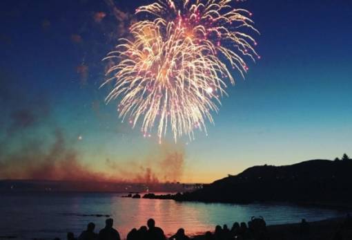 Παραμονή πρωτοχρονιάς: Εφιάλτης για τα πτηνά τα εορταστικά πυροτεχνήματα