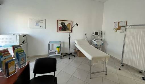 &Upsilon;&gamma;&epsilon;&iota;&omicron;&nu;&omicron;&mu;&iota;&kappa;ή &laquo;έ&nu;&epsilon;&sigma;&eta;&raquo; &sigma;&tau;&eta;&nu; &kappa;ά&lambda;&upsilon;&psi;&eta; &tau;&eta;&sigmaf; &Epsilon;&lambda;&alpha;&phi;&omicron;&nu;ή&sigma;&omicron;&upsilon; &epsilon;&nu; &mu;έ&sigma;&omega; &sigma;&epsilon;&zeta;ό&nu;