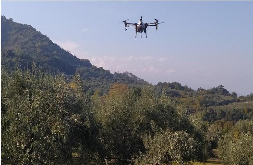 &Epsilon;&lambda;&alpha;&iota;ό&lambda;&alpha;&delta;&omicron;: &Pi;ώ&sigmaf; &eta; &Iota;&sigma;&pi;&alpha;&nu;ί&alpha; &theta;&omega;&rho;&alpha;&kappa;ί&zeta;&epsilon;&tau;&alpha;&iota; &alpha;&pi;έ&nu;&alpha;&nu;&tau;&iota; &sigma;&tau;&iota;&sigmaf; &kappa;&lambda;&omicron;&pi;έ&sigmaf; &epsilon;&lambda;&alpha;&iota;&omicron;&kappa;ά&rho;&pi;&omicron;&upsilon;