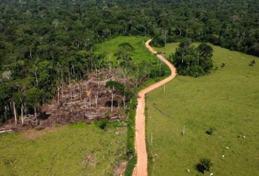 Βραζιλία: Ώρα μηδέν για το δάσος του Αμαζονίου