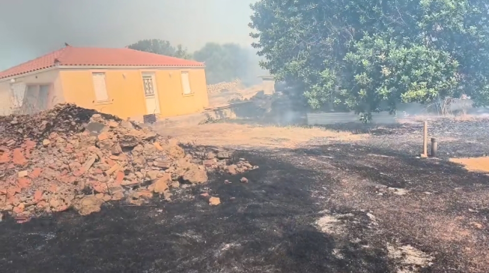 &Phi;&omega;&tau;&iota;ά &sigma;&epsilon; &epsilon;&xi;έ&lambda;&iota;&xi;&eta; &sigma;&tau;&eta;&nu; &Epsilon;&lambda;&iota;ά &Mu;&omicron;&nu;&epsilon;&mu;&beta;&alpha;&sigma;ί&alpha;&sigmaf;