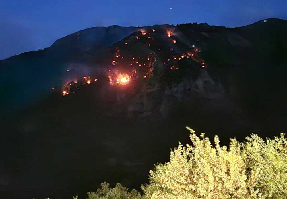Μάχη για να διασωθεί το παρθένο δάσος στη Σοχά Ταϋγέτου (ΣΥΝΕΧΗΣ ΕΝΗΜΕΡΩΣΗ)