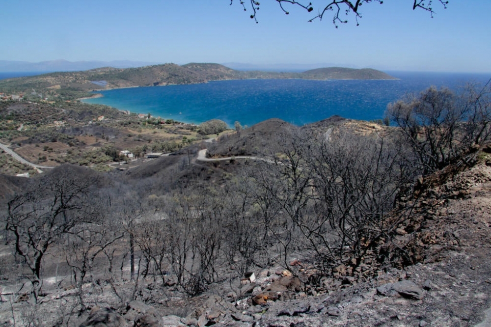 Εκτός εθνικού σχεδίου αναδάσωσης η Λακωνία