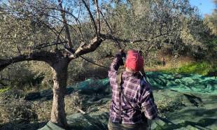 &Omicron;&delta;&eta;&gamma;ό&sigmaf; &laquo;&epsilon;&pi;&iota;&beta;ί&omega;&sigma;&eta;&sigmaf;&raquo; &gamma;&iota;&alpha; &tau;&eta;&nu; &Epsilon;&nu;&iota;&alpha;ί&alpha; &Epsilon;&nu;ί&sigma;&chi;&upsilon;&sigma;&eta;