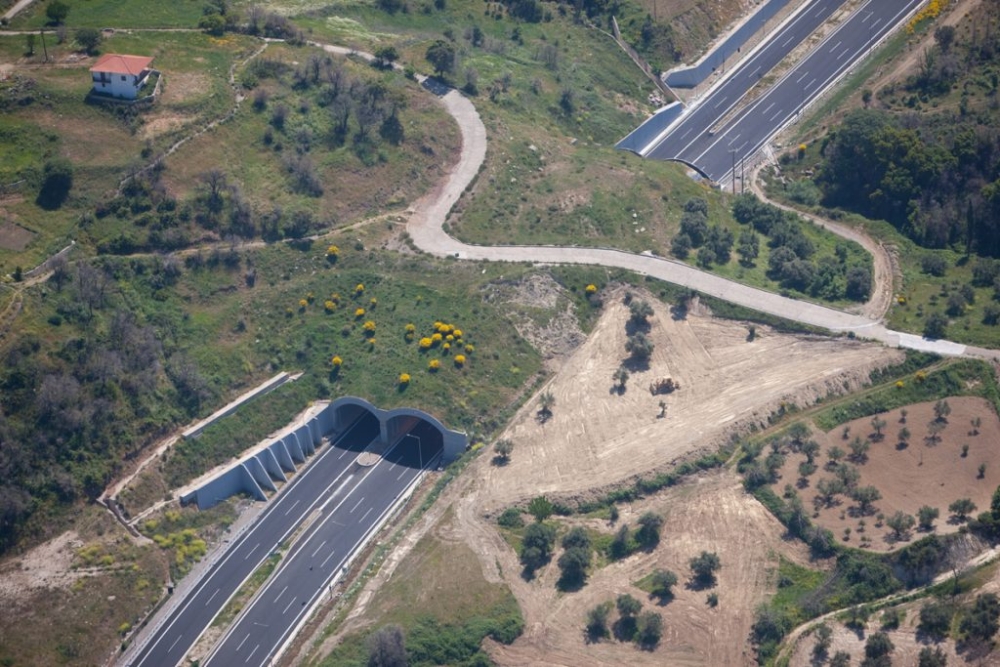 &Kappa;&upsilon;&kappa;&lambda;&omicron;&phi;&omicron;&rho;&iota;&alpha;&kappa;έ&sigmaf; &rho;&upsilon;&theta;&mu;ί&sigma;&epsilon;&iota;&sigmaf; &sigma;&tau;&omicron;&upsilon;&sigmaf; &kappa;ό&mu;&beta;&omicron;&upsilon;&sigmaf; &Tau;&sigma;&alpha;&kappa;ώ&nu;&alpha;&sigmaf; &kappa;&alpha;&iota; &Pi;&alpha;&rho;&alpha;&delta;&epsilon;&iota;&sigma;ί&omega;&nu;