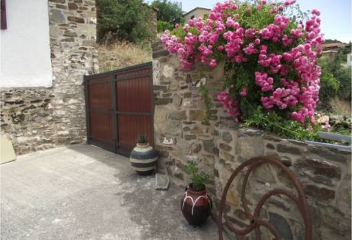 Χρώματα κι αρώματα στην «3η Γιορτή λουλουδιών και κήπων» στη Σελλασία! (ΦΩΤΟ)