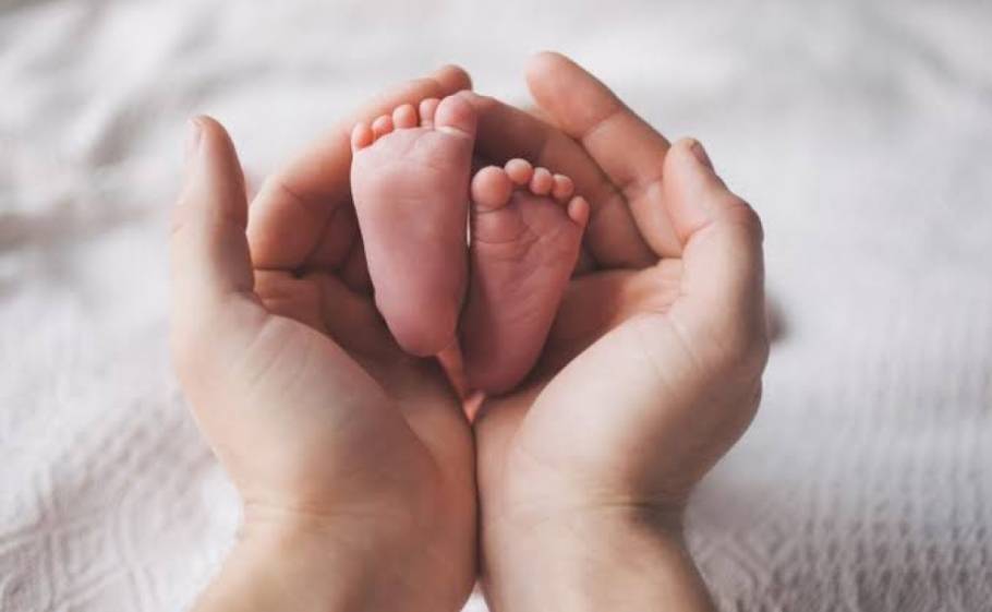 &Epsilon;&pi;ί&delta;&omicron;&mu;&alpha; &gamma;έ&nu;&nu;&eta;&sigma;&eta;&sigmaf; &phi;έ&rho;&nu;&epsilon;&iota; &eta; &Sigma;&pi;ά&rho;&tau;&eta; &gamma;&iota;&alpha; &tau;&eta; &sigma;&tau;ή&rho;&iota;&xi;&eta; &tau;&omega;&nu; &nu;έ&omega;&nu; &omicron;&iota;&kappa;&omicron;&gamma;&epsilon;&nu;&epsilon;&iota;ώ&nu;