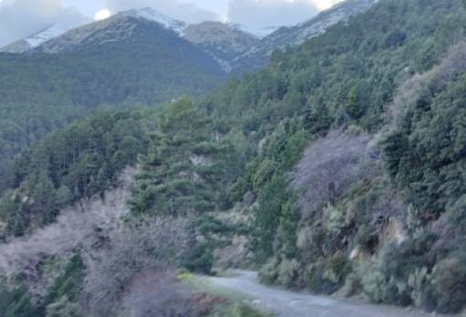 Ανάβαση στον Ταΰγετο  από τον ΕΟΣ Σπάρτης