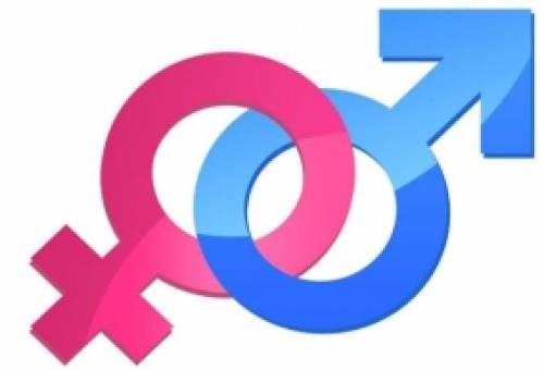 Συστάθηκε Επιτροπή Ισότητας των Φύλλων στο Δήμο Σπάρτης