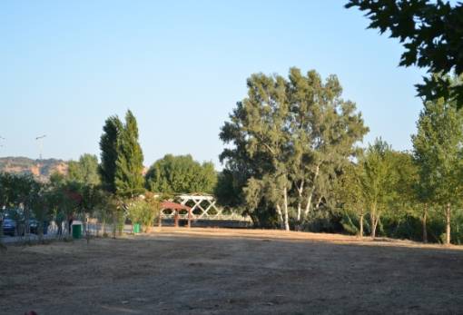 «Όλοι Μαζί Μπορούμε» να δώσουμε περισσότερο πράσινο στη Σπάρτη