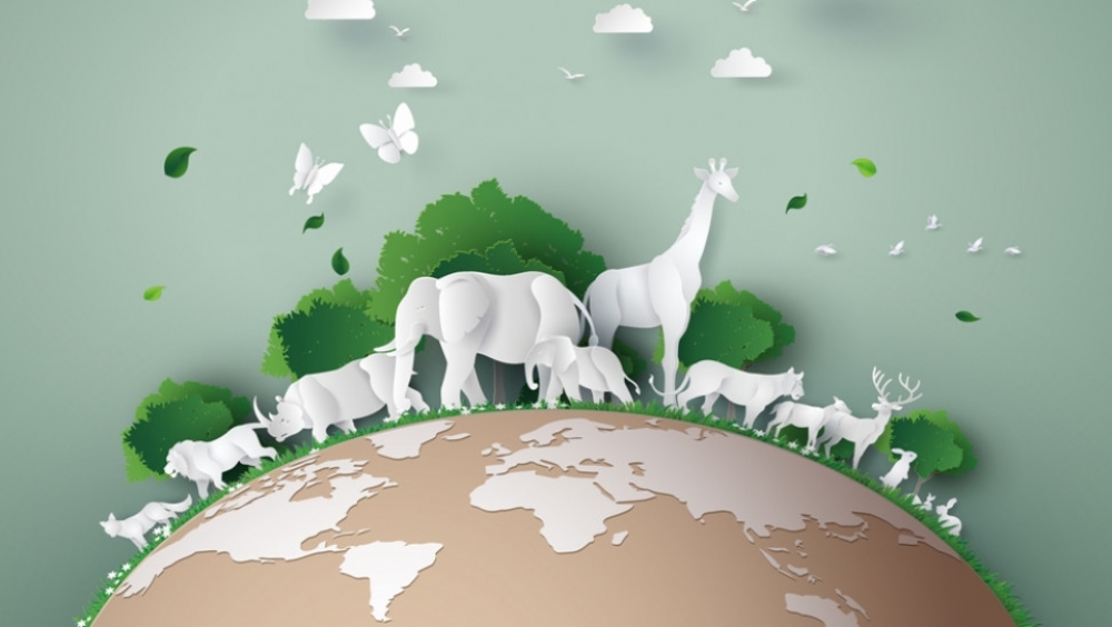 &Kappa;ά&theta;&epsilon; &pi;&epsilon;&rho;ί&pi;&omicron;&upsilon; 27 &epsilon;&kappa;&alpha;&tau;. &chi;&rho;ό&nu;&iota;&alpha; &sigma;&upsilon;&mu;&beta;&alpha;ί&nu;&omicron;&upsilon;&nu; &mu;&alpha;&zeta;&iota;&kappa;έ&sigmaf; &epsilon;&xi;&alpha;&phi;&alpha;&nu;ί&sigma;&epsilon;&iota;&sigmaf; &zeta;ώ&omega;&nu;