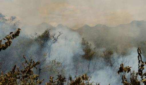 &Omicron;&Eta;&Epsilon;: &Kappa;&alpha;ύ&sigma;&omega;&nu;&epsilon;&sigmaf; &kappa;&alpha;&iota; &pi;&upsilon;&rho;&kappa;&alpha;&gamma;&iota;έ&sigmaf; &epsilon;&pi;&iota;&beta;&alpha;&rho;ύ&nu;&omicron;&upsilon;&nu; &tau;&eta;&nu; &pi;&omicron;&iota;ό&tau;&eta;&tau;&alpha; &tau;&omicron;&upsilon; &alpha;έ&rho;&alpha;