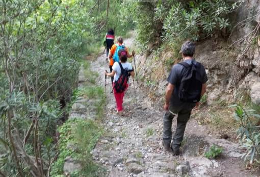 «ΒαδίΖΟΥΜΕ στη φύση» Μυστρά-Ταϋγέτης συντροφιά με τον ΕΟΣ Σπάρτης