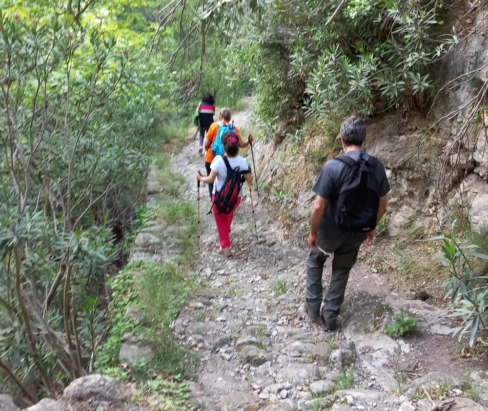 &laquo;&Beta;&alpha;&delta;ί&Zeta;&Omicron;&Upsilon;&Mu;&Epsilon; &sigma;&tau;&eta; &phi;ύ&sigma;&eta;&raquo; &Mu;&upsilon;&sigma;&tau;&rho;ά-&Tau;&alpha;ϋ&gamma;έ&tau;&eta;&sigmaf; &sigma;&upsilon;&nu;&tau;&rho;&omicron;&phi;&iota;ά &mu;&epsilon; &tau;&omicron;&nu; &Epsilon;&Omicron;&Sigma; &Sigma;&pi;ά&rho;&tau;&eta;&sigmaf;