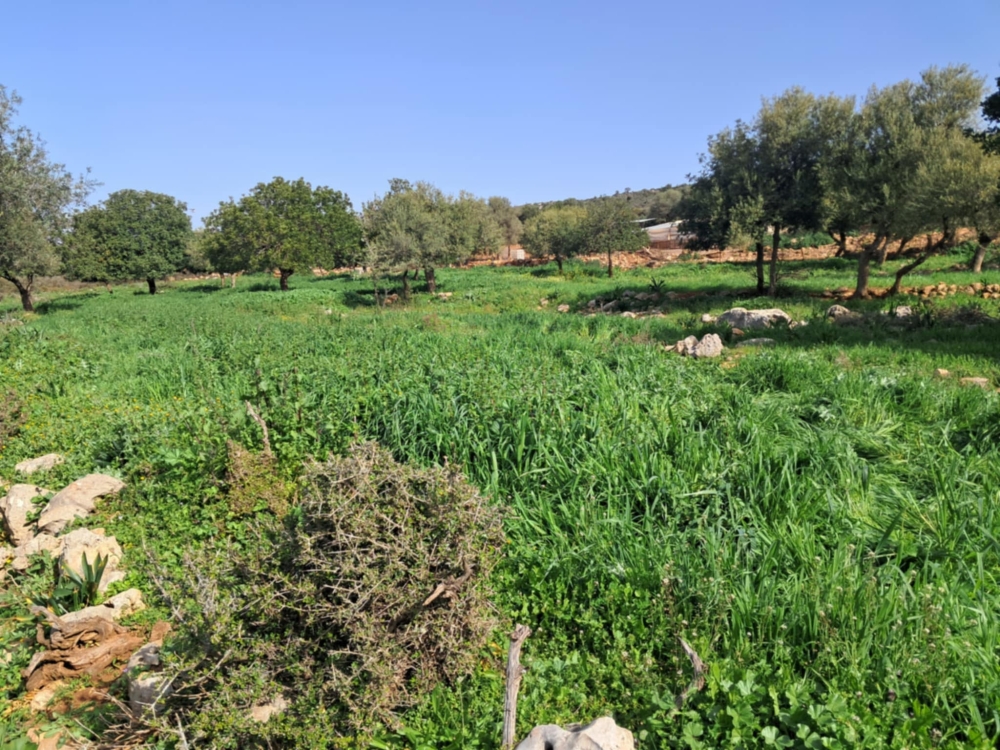 &Sigma;&pi;ό&rho;&omicron; &pi;&epsilon;&rho;&iota;&beta;&alpha;&lambda;&lambda;&omicron;&nu;&tau;&iota;&kappa;ή&sigmaf; &alpha;&nu;&alpha;&zeta;&omega;&omicron;&gamma;ό&nu;&eta;&sigma;&eta;&sigmaf;  έ&rho;&iota;&xi;&epsilon; &omicron; &Kappa;&upsilon;&nu;&eta;&gamma;&epsilon;&tau;&iota;&kappa;ό&sigmaf; &Sigma;ύ&lambda;&lambda;&omicron;&gamma;&omicron;&sigmaf; &Mu;&omicron;&lambda;ά&omega;&nu;