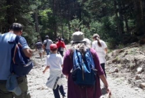 Τι κρύβεται στο δάσος;