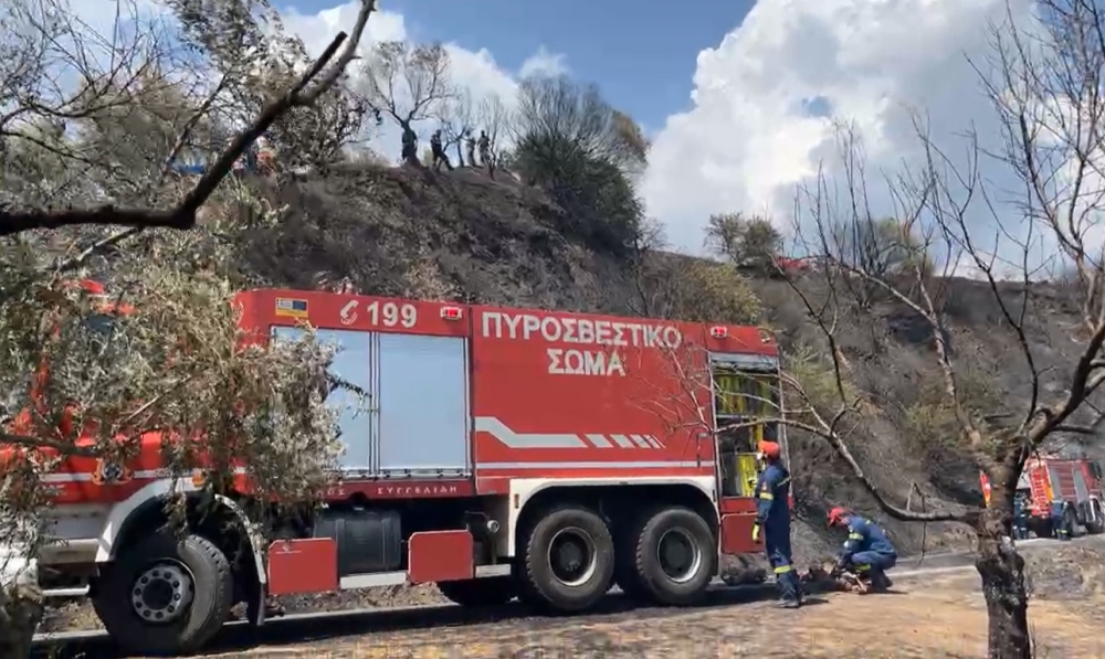 &Pi;&upsilon;&rho;&kappa;&alpha;&gamma;&iota;ά έ&kappa;&alpha;&psi;&epsilon; &delta;&alpha;&sigma;&iota;&kappa;ή έ&kappa;&tau;&alpha;&sigma;&eta; &sigma;&tau;&eta; &Beta;&omicron;&rho;&delta;ό&nu;&iota;&alpha;