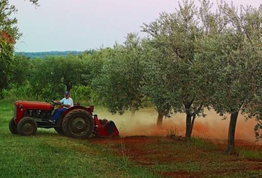 Ευρωπαϊκή γεωργία: Λιγότερες εκμεταλλεύσεις, χαμηλότερα εισοδήματα
