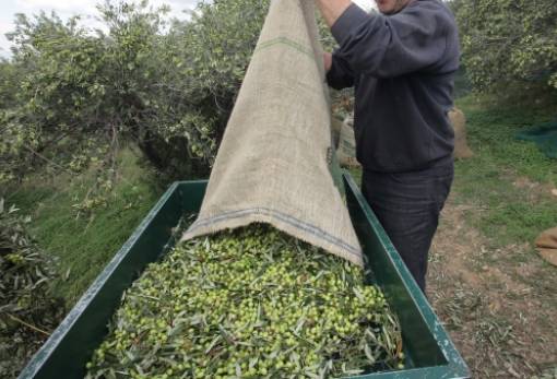 Η νέα «συνταγή» για την αγροτική ανάπτυξη