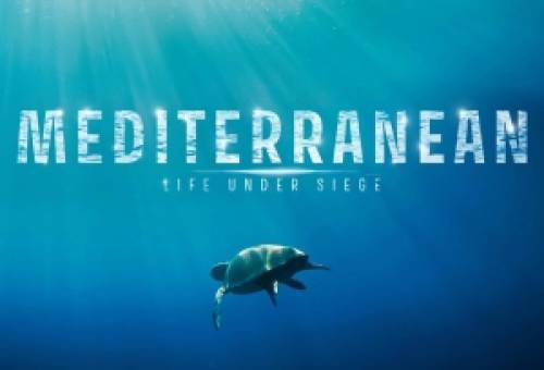 Η «Πολιορκημένη Μεσόγειος» εκπέμπει SOS μέσω ντοκιμαντέρ στο Μουσείο Ελιάς και Λαδιού