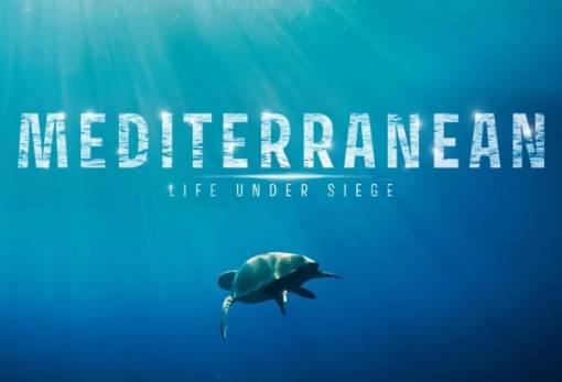 Η «Πολιορκημένη Μεσόγειος» εκπέμπει SOS μέσω ντοκιμαντέρ στο Μουσείο Ελιάς και Λαδιού