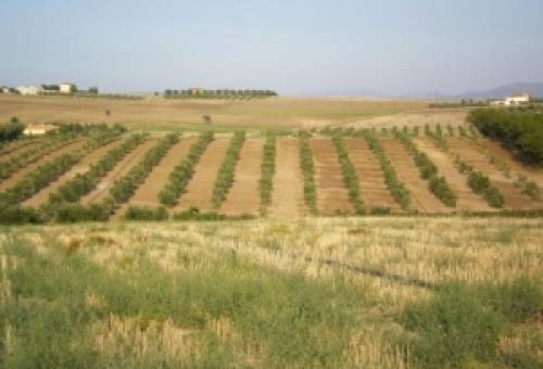 1 δισ. ευρώ για αγροτική καινοτομία… αλλά τα χωράφια δεν την είδαν