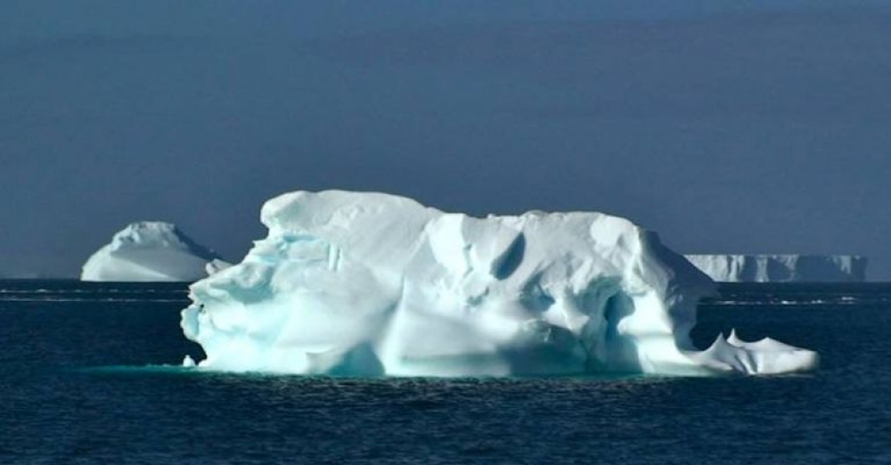 &Mu;&pi;&omicron;&rho;&epsilon;ί &eta; &Alpha;&phi;&rho;&iota;&kappa;ή &nu;&alpha; &xi;&epsilon;&delta;&iota;&psi;ά&sigma;&epsilon;&iota; &rho;&upsilon;&mu;&omicron;&upsilon;&lambda;&kappa;ώ&nu;&tau;&alpha;&sigmaf; &pi;&alpha;&gamma;ό&beta;&omicron;&upsilon;&nu;&alpha;;