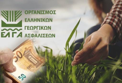 ΕΛΓΑ: Έως τις 30 Οκτωβρίου η εξόφληση της εισφοράς του 2025