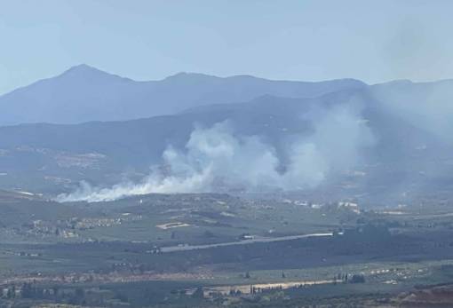 Φωτιά σε αγροτοδασική έκταση στο Δαφνί