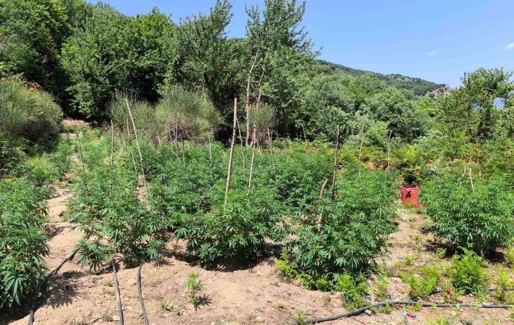 &Delta;ύ&omicron; ά&tau;&omicron;&mu;&alpha; &laquo;έ&chi;&epsilon;&iota;&raquo; &eta; &Epsilon;&Lambda;&Alpha;&Sigma; &gamma;&iota;&alpha; &tau;&eta;&nu; &kappa;&alpha;&lambda;&lambda;&iota;έ&rho;&gamma;&epsilon;&iota;&alpha; &tau;&eta;&sigmaf; &chi;&alpha;&sigma;&iota;&sigma;&omicron;&phi;&upsilon;&tau;&epsilon;ί&alpha;&sigmaf; &sigma;&tau;&omicron; &Gamma;&epsilon;&omega;&rho;&gamma;ί&tau;&sigma;&iota;