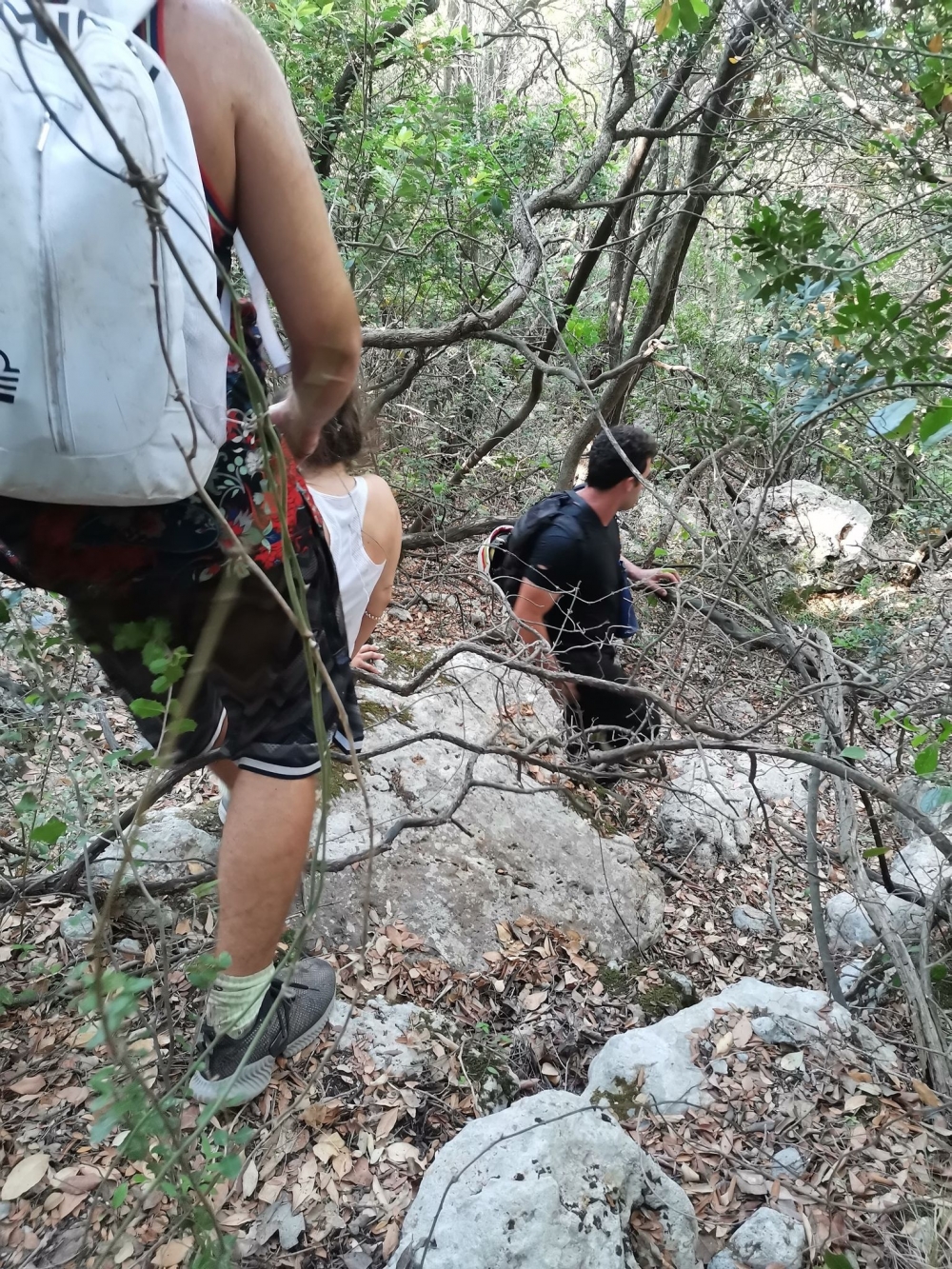 Επιτυχής διάσωση περιπατητών από δυσπρόσιτη περιοχή στη Λακωνία