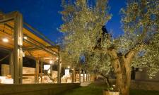 Το Μουσείο Ελιάς και Λαδιού φιλοξενεί το 11ο Διεθνές Φεστιβάλ Πελοποννήσου